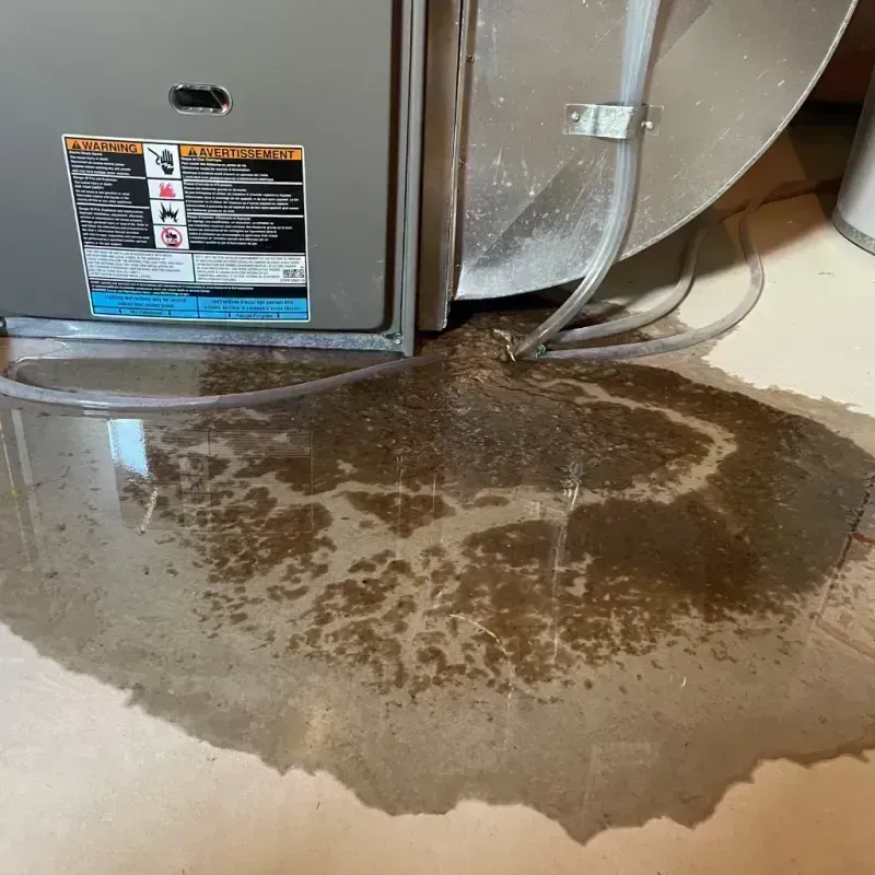 Appliance Leak Cleanup in Wheeling, IL